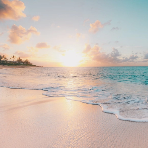 Modèle Cosmopolitan