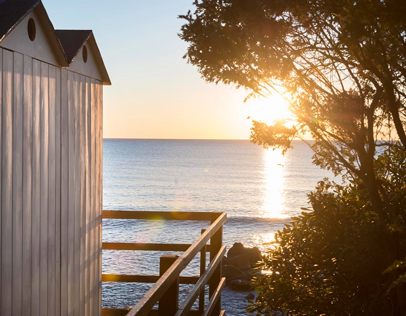 Modèle Cosmopolitan