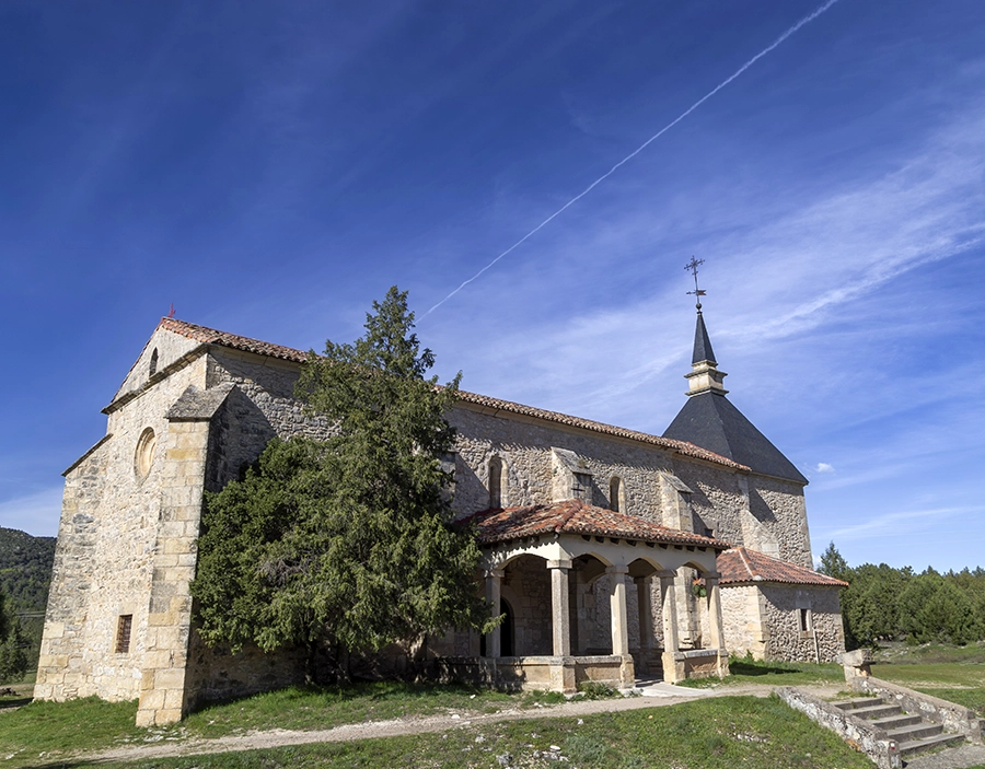 Modèle Cosmopolitan